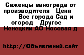 Саженцы винограда от производителя › Цена ­ 800 - Все города Сад и огород » Другое   . Ненецкий АО,Носовая д.